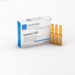 Sustanon - 250 mg/mL | Cambridge Research